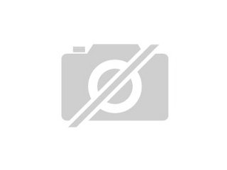 SUCHE HONDA ACCORD BJ 1996-ELEKTR FNESTERHEBER LINKS